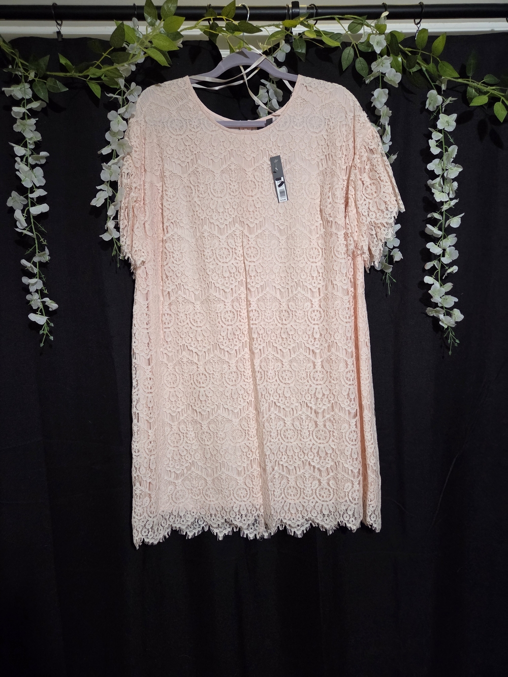 The Limited Blush Lace Mini Dress